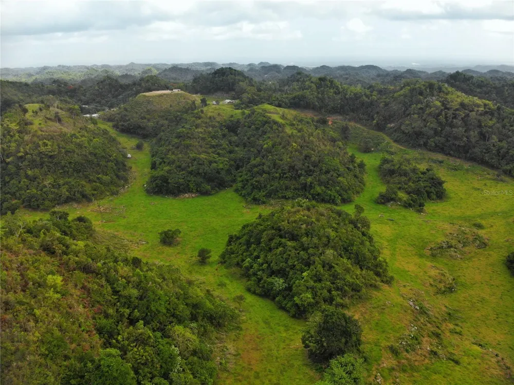 Carr 626 BO CALICHOZA Arecibo, PR 00613