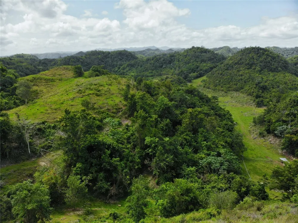 Carr 626 BO CALICHOZA Arecibo, PR 00613