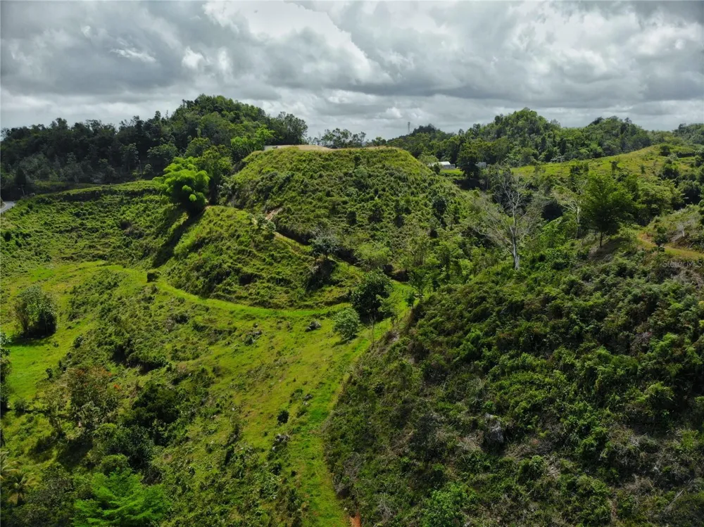 Carr 626 BO CALICHOZA Arecibo, PR 00613