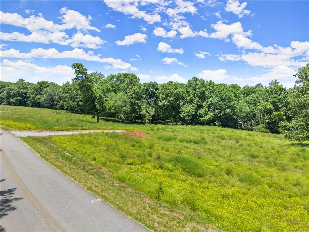 0 Arthur Allen Road Cleveland, GA 30528
