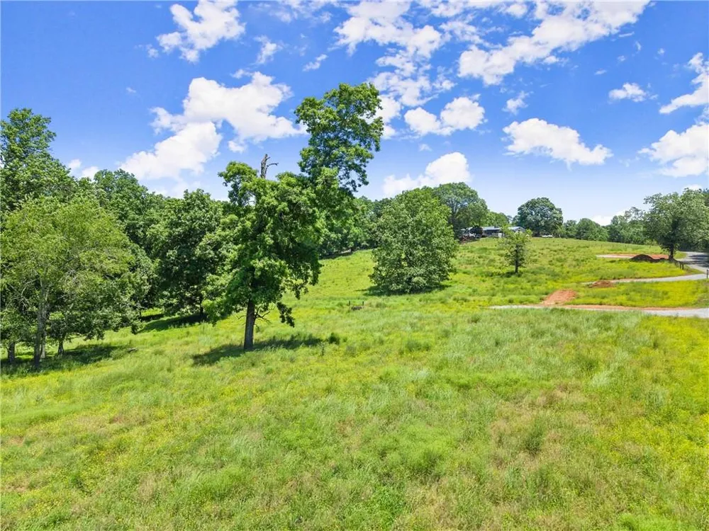 0 Arthur Allen Road Cleveland, GA 30528