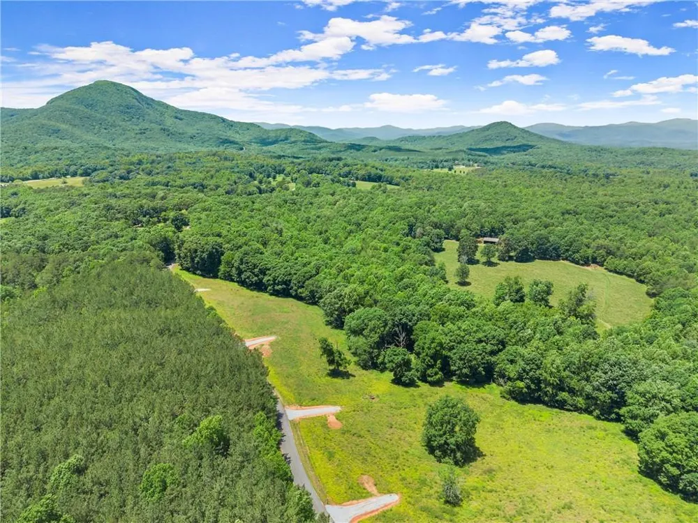 0 Arthur Allen Road Cleveland, GA 30528
