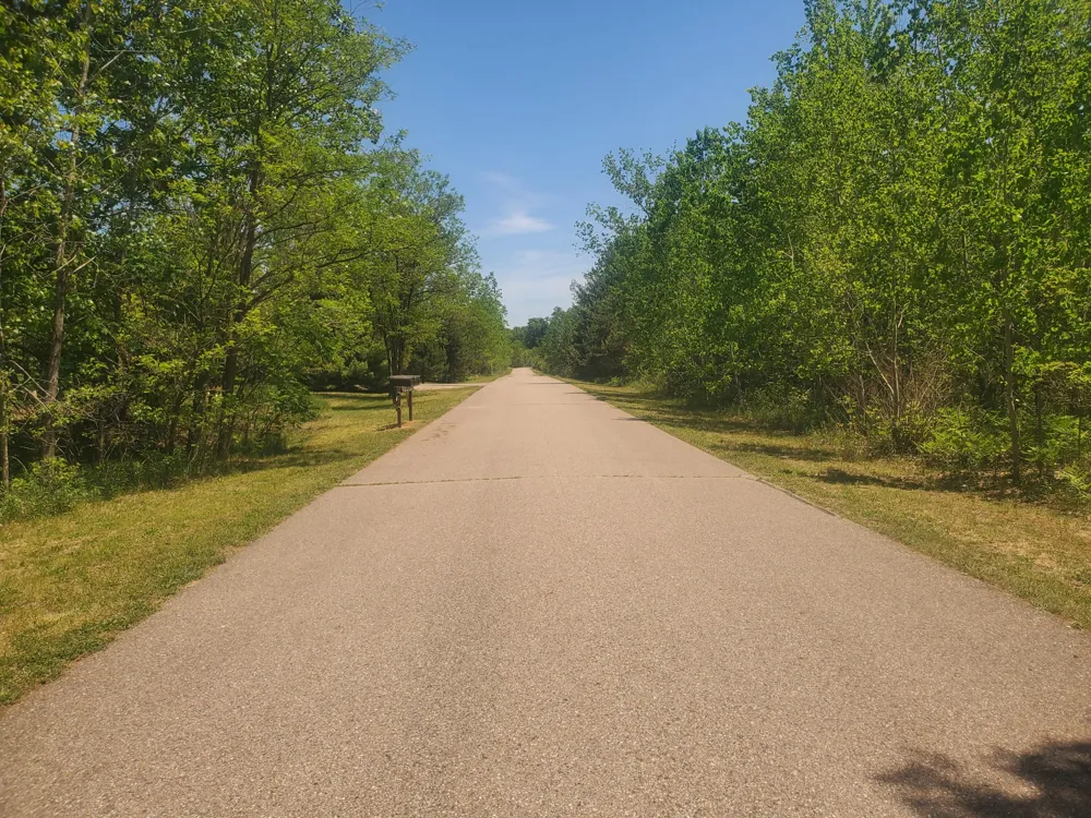 77524 Le Lac Drive Covert, MI 49043