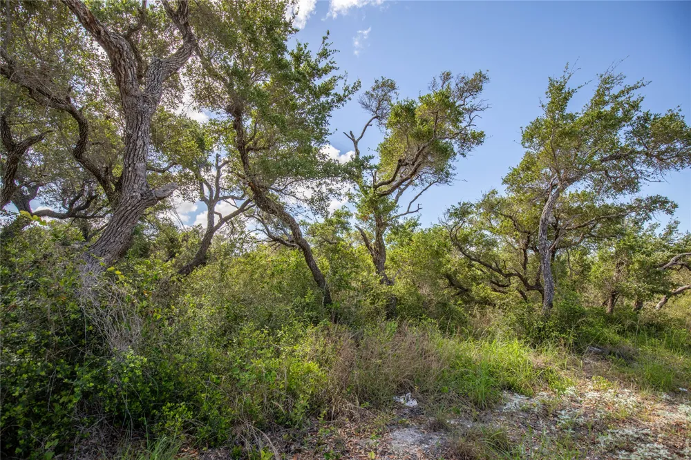 McCampbell St and E Young Ave Aransas Pass, TX 78336