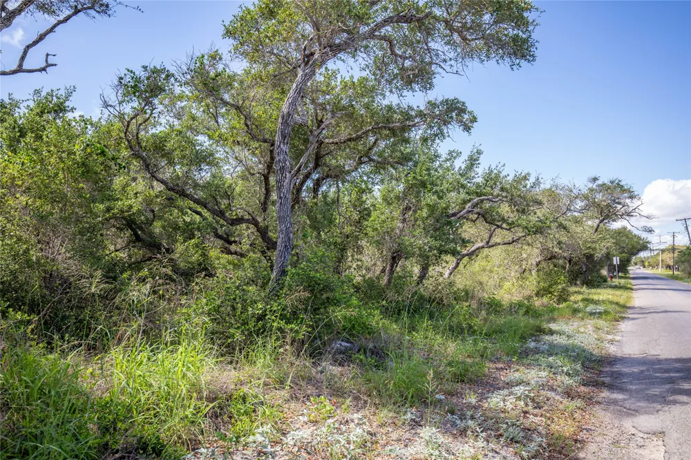 McCampbell St and E Young Ave Aransas Pass, TX 78336