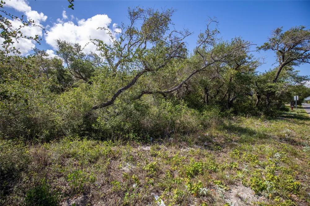 McCampbell St and E Young Ave Aransas Pass, TX 78336