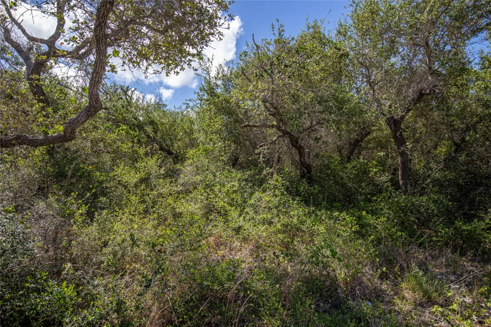 McCampbell St and E Young Ave Aransas Pass, TX 78336