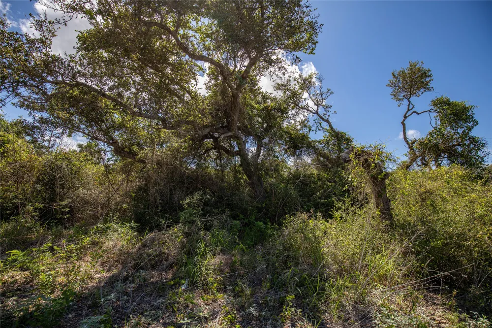 McCampbell St and E Young Ave Aransas Pass, TX 78336