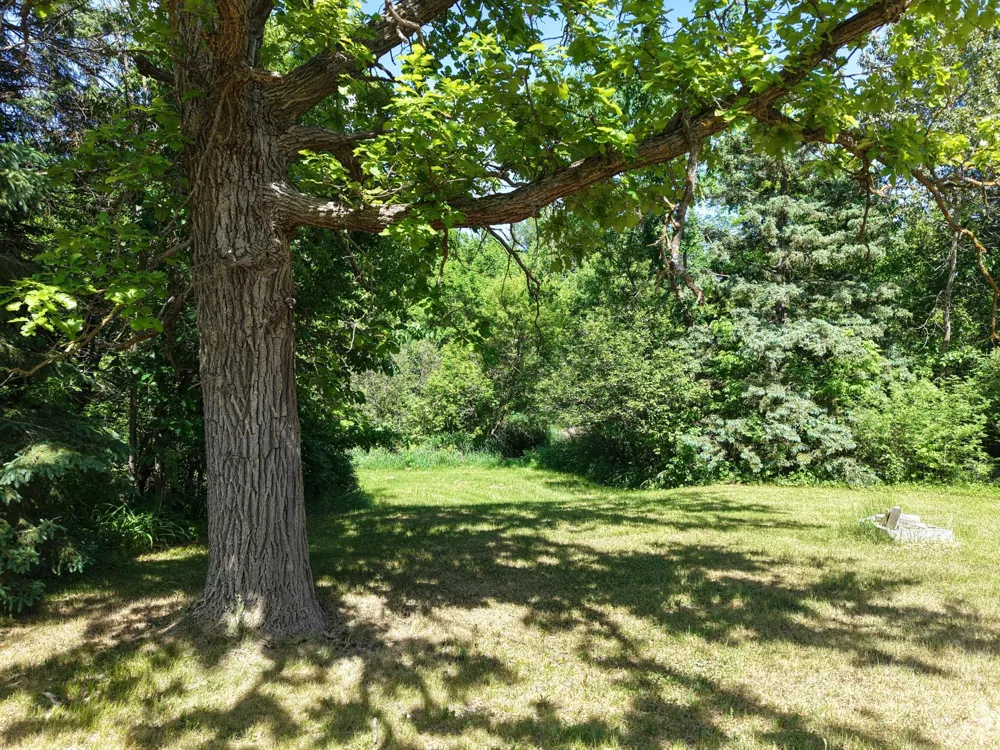 13988 590th Avenue Menahga, MN 56464