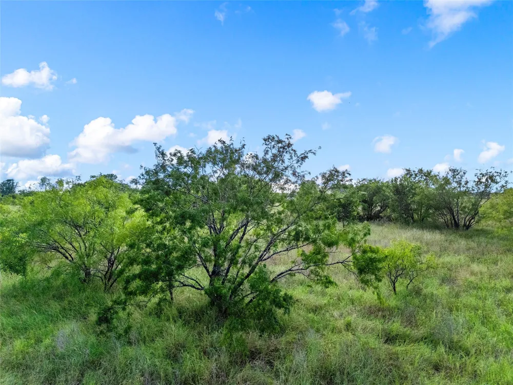 188 Baese Road West, TX 76691