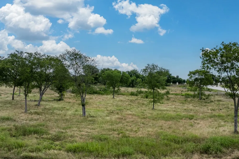 88 Chambers Bay Kerens, TX 75144