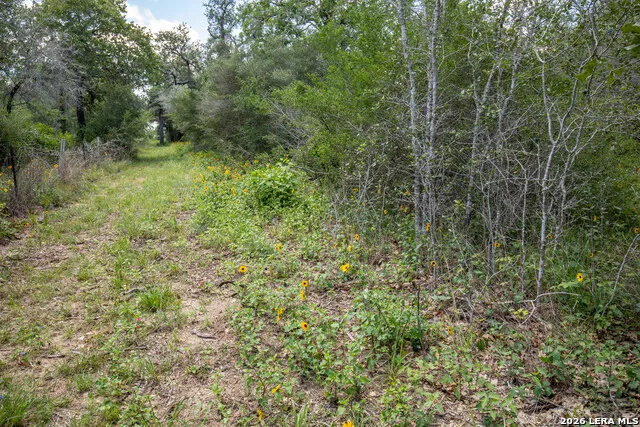 9393 E Us Highway 87 Westhoff, TX 77994