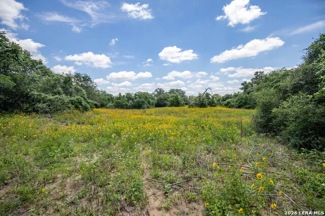9393 E Us Highway 87 Westhoff, TX 77994