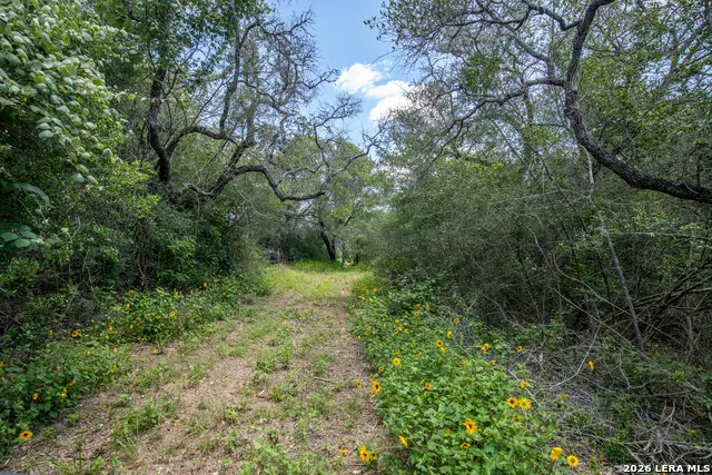 9393 E Us Highway 87 Westhoff, TX 77994