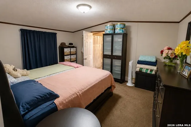 9393 E Us Highway 87 Westhoff, TX 77994
