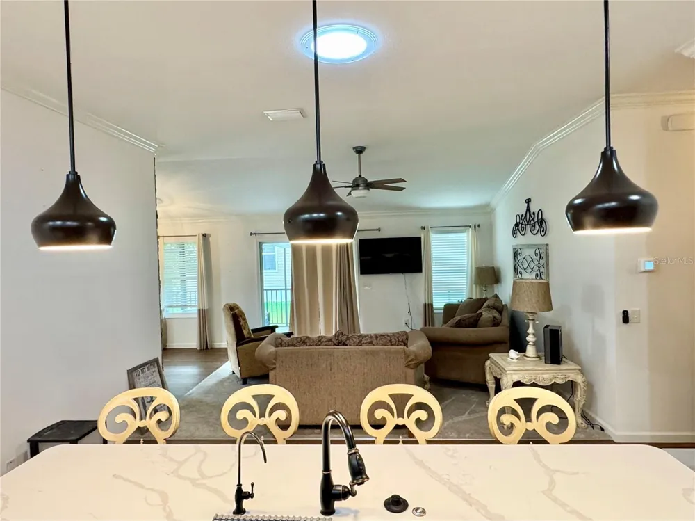 810 ROSEAPPLE AVENUE Lady Lake, FL 32159