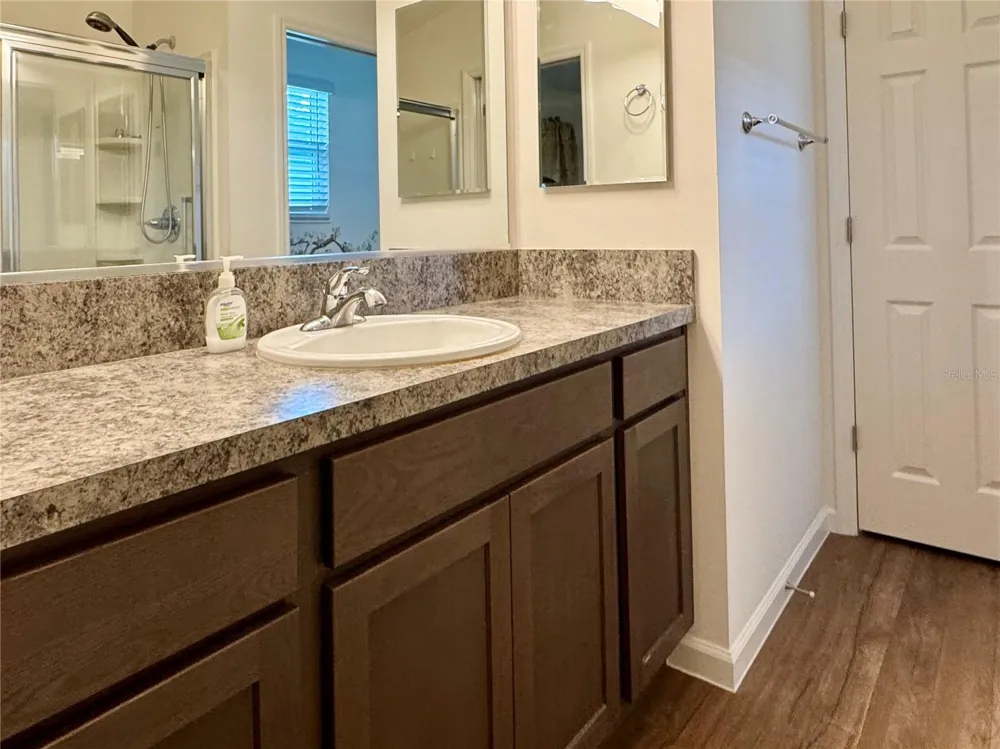 810 ROSEAPPLE AVENUE Lady Lake, FL 32159