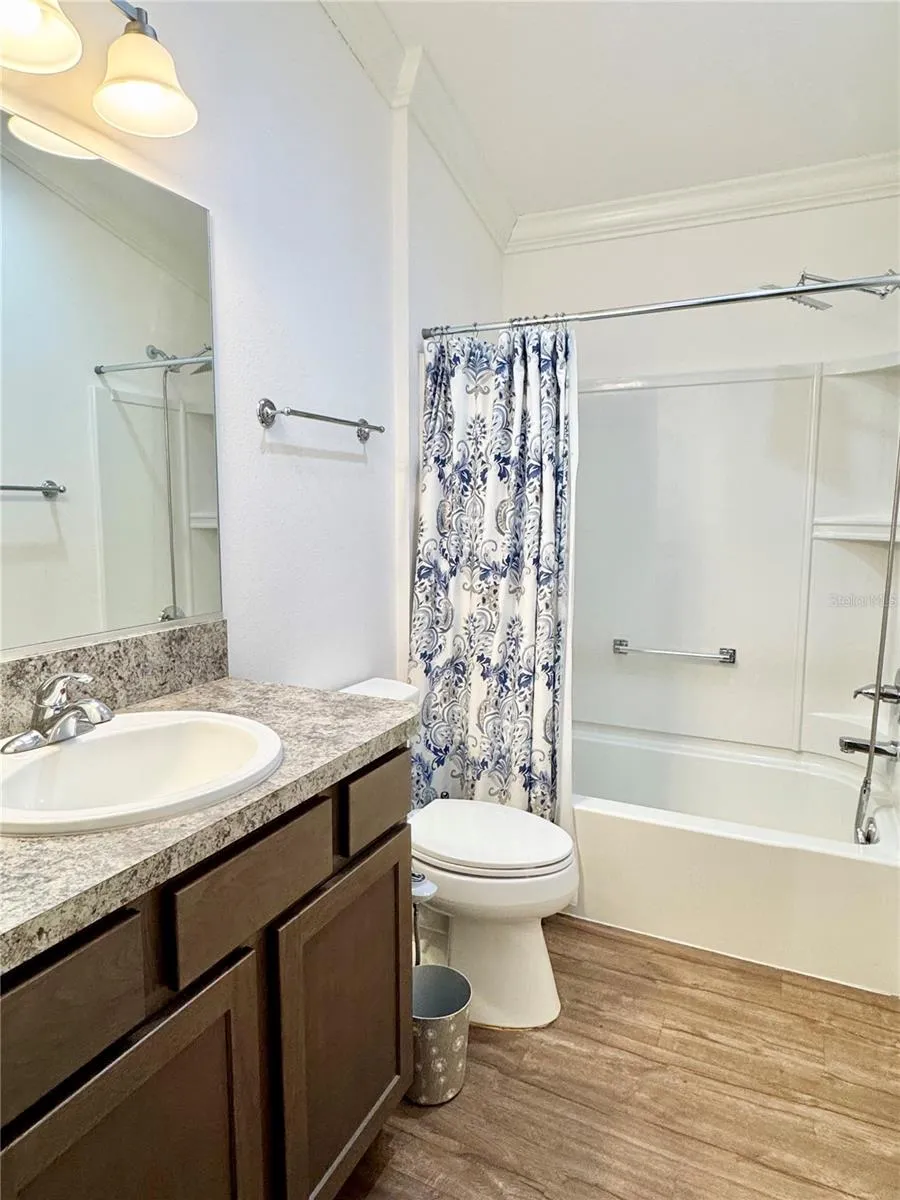 810 ROSEAPPLE AVENUE Lady Lake, FL 32159