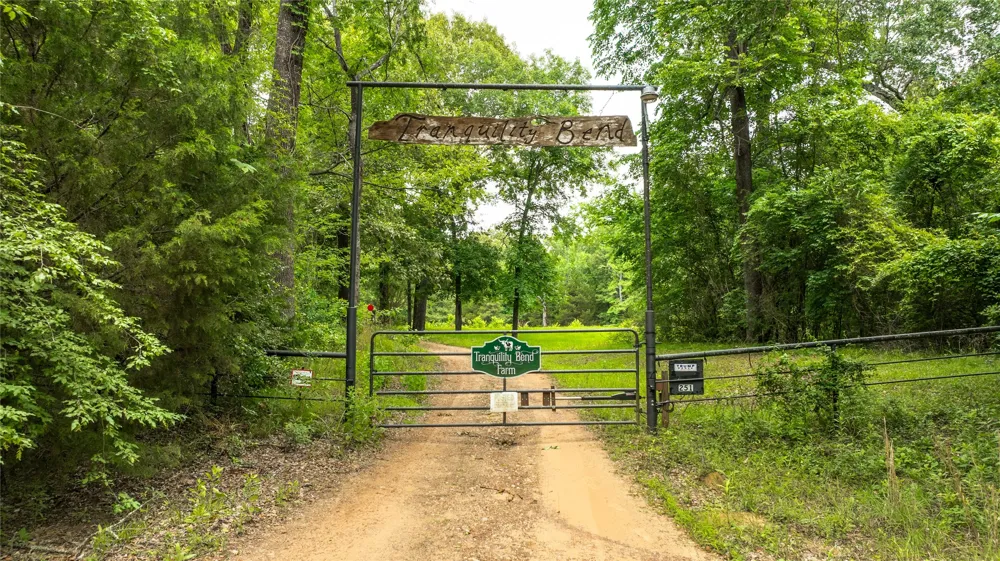251 Private Road 8179 Ben Wheeler, TX 75754