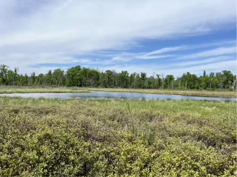 13384 Sorenson Lake Road