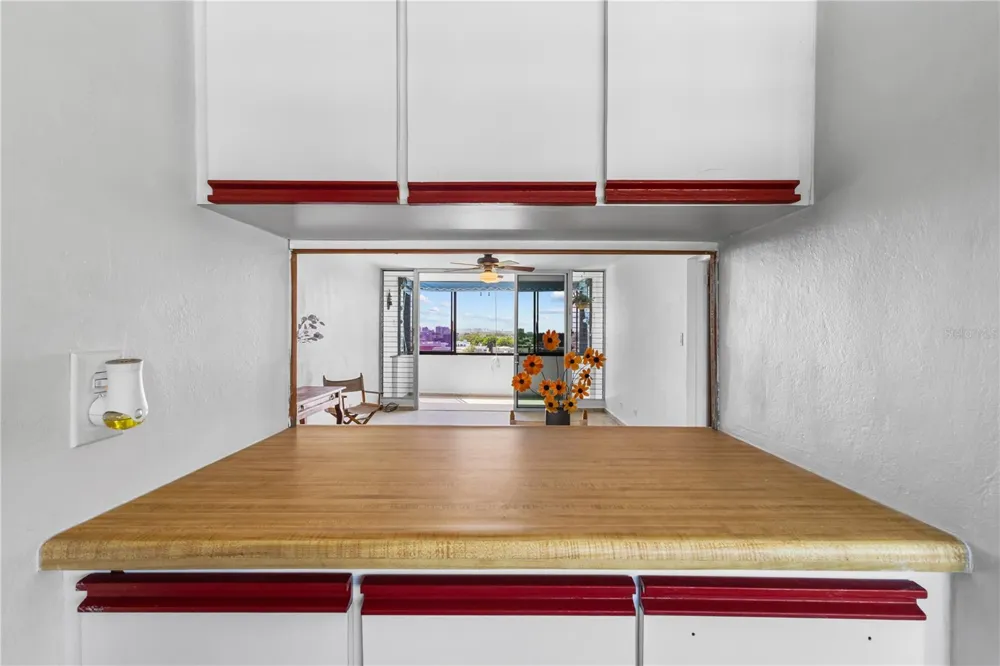 212 DIEZ DE ANDINO #604 San Juan, PR 00909