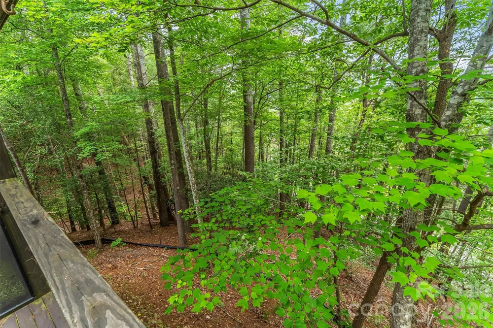 130 Settlement Ridge Drive #48 Marion, NC 28752