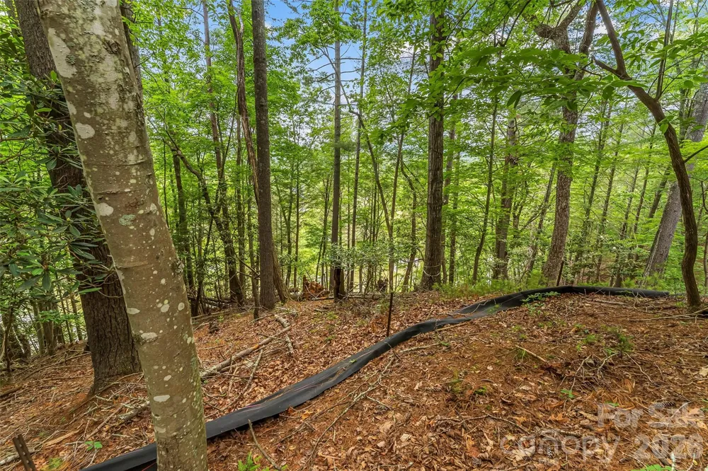 130 Settlement Ridge Drive #48 Marion, NC 28752