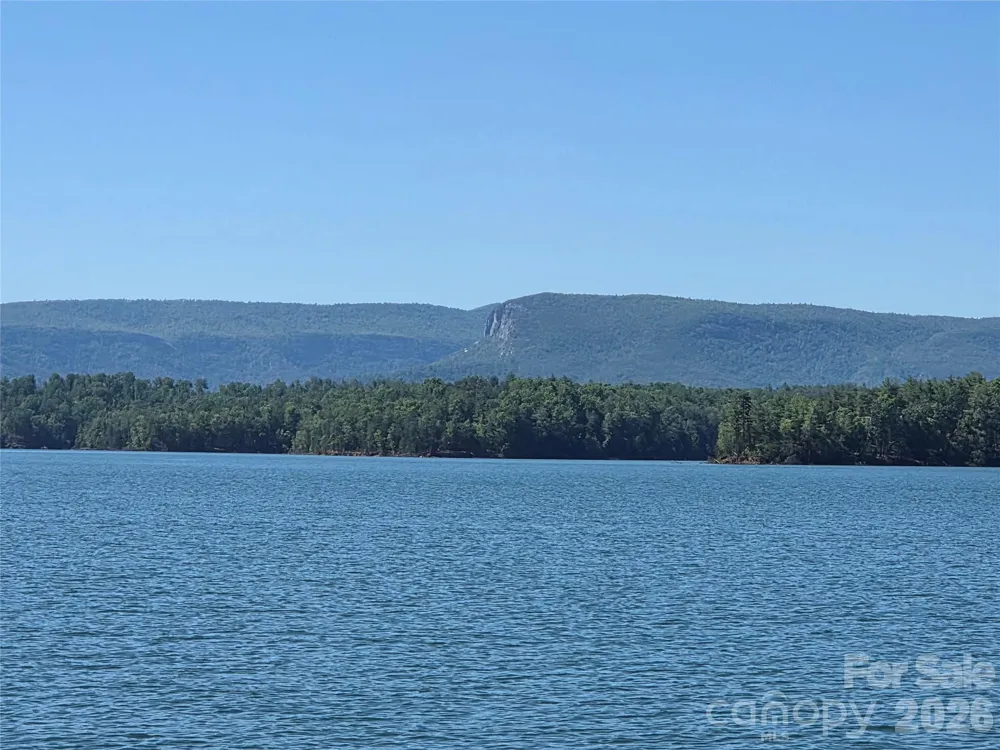 130 Settlement Ridge Drive #48 Marion, NC 28752