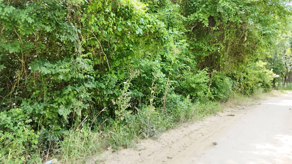 Private Road 2280 Quinlan, TX 75474