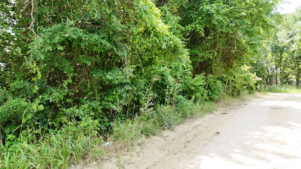 Private Road 2280 Quinlan, TX 75474