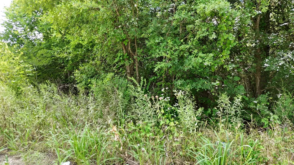 Private Road 2280 Quinlan, TX 75474