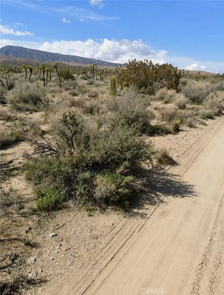 E Avenue Z Llano, CA 93544