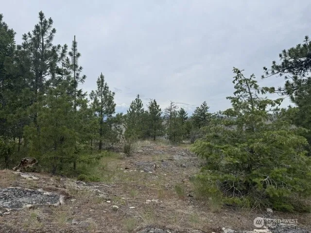 111 TBD Patterson Creek Tonasket, WA 98855