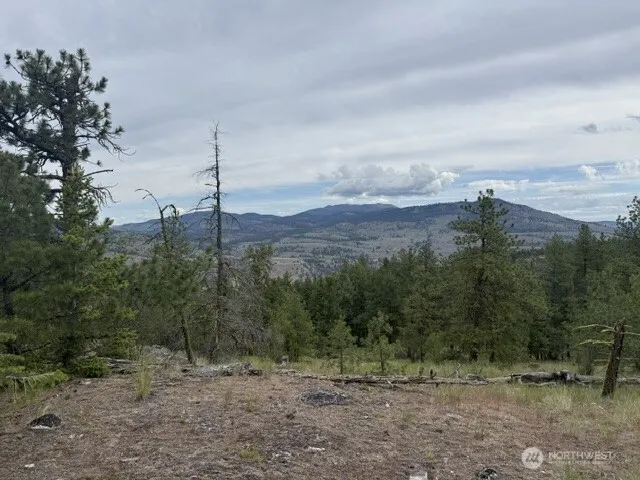 111 TBD Patterson Creek Tonasket, WA 98855