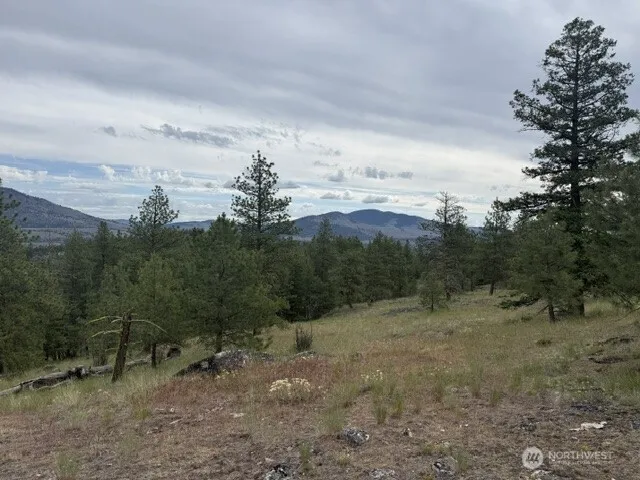 111 TBD Patterson Creek Tonasket, WA 98855