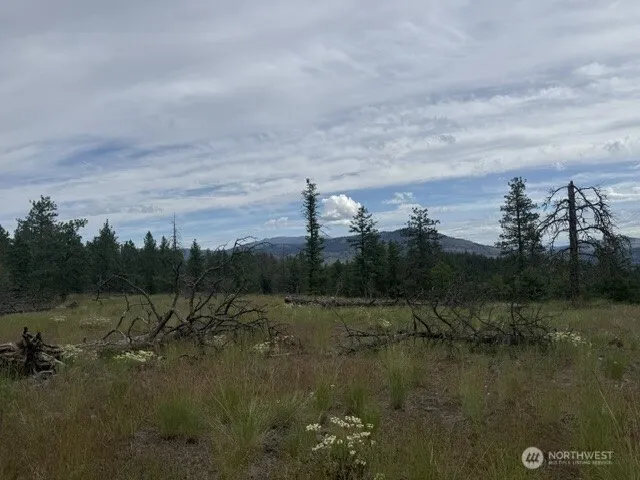 111 TBD Patterson Creek Tonasket, WA 98855