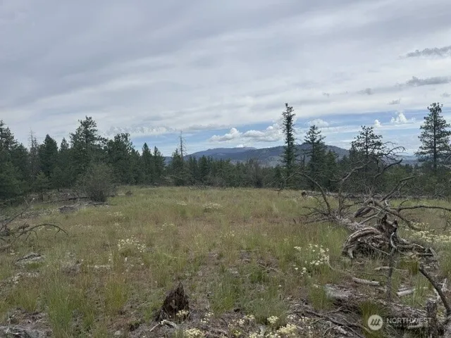 111 TBD Patterson Creek Tonasket, WA 98855