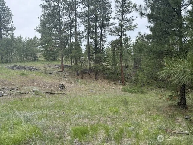 111 TBD Patterson Creek Tonasket, WA 98855