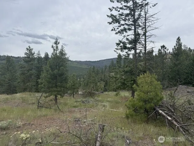 111 TBD Patterson Creek Tonasket, WA 98855
