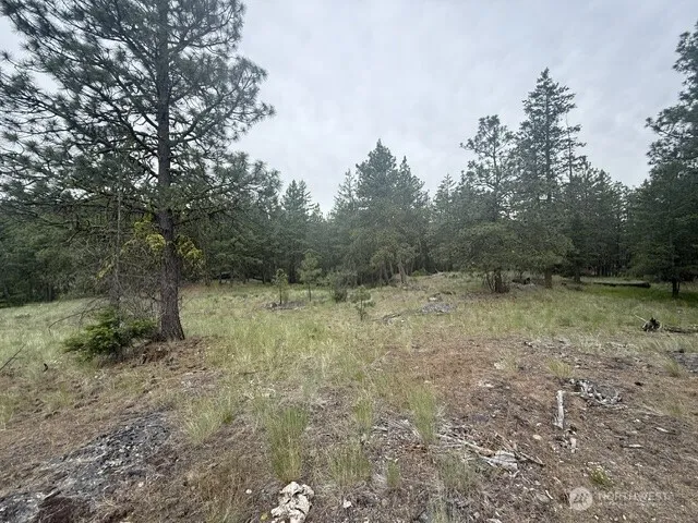111 TBD Patterson Creek Tonasket, WA 98855