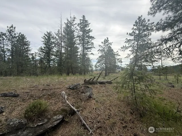 111 TBD Patterson Creek Tonasket, WA 98855