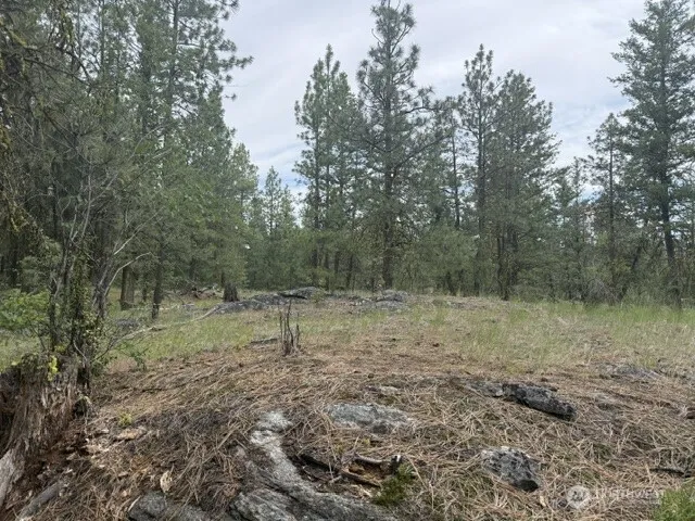 111 TBD Patterson Creek Tonasket, WA 98855