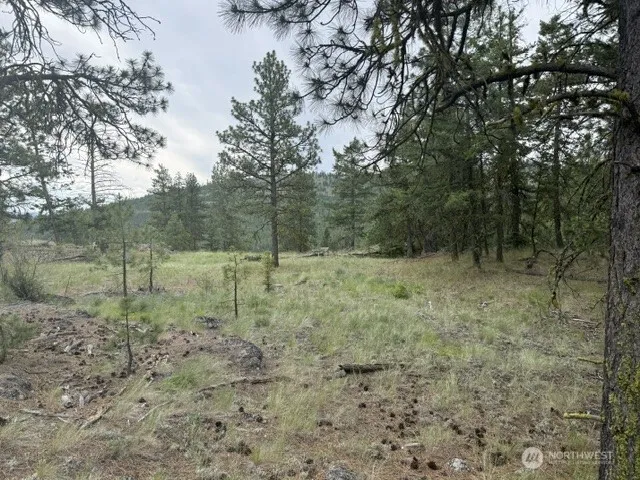 111 TBD Patterson Creek Tonasket, WA 98855