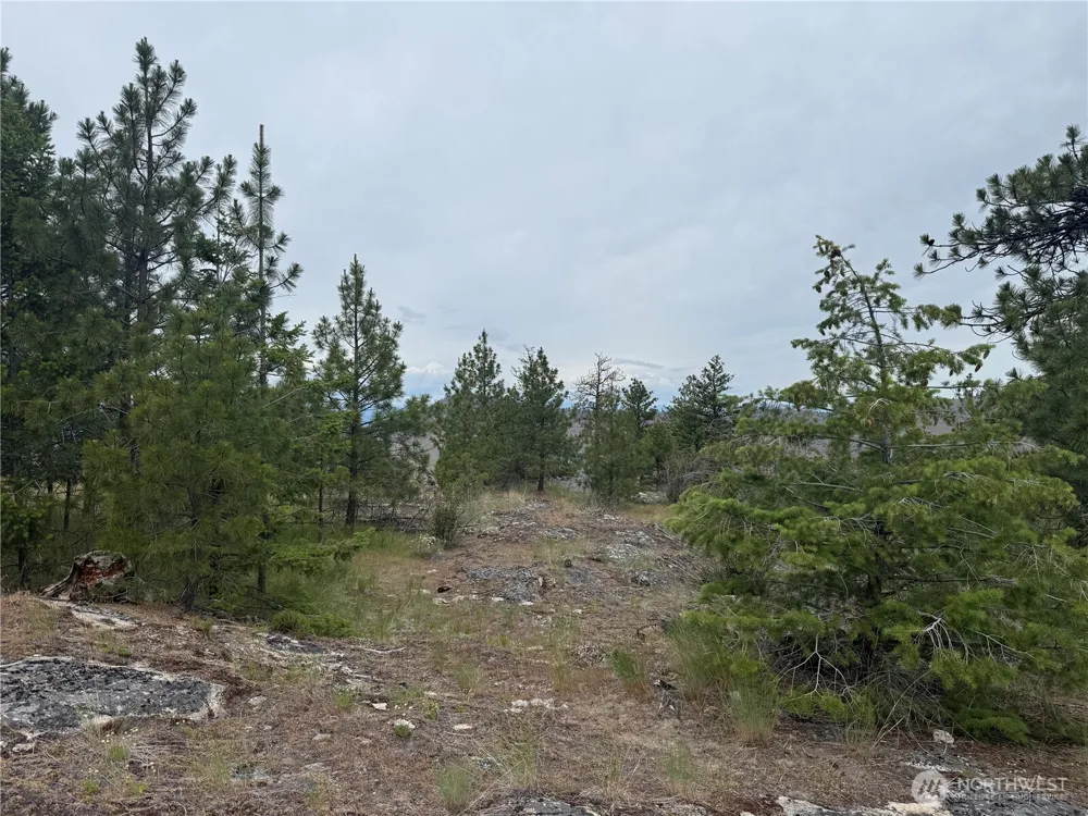 111 TBD Patterson Creek Tonasket, WA 98855