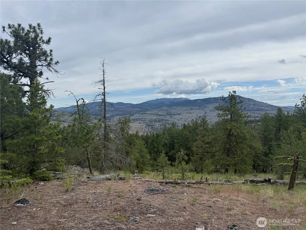111 TBD Patterson Creek Tonasket, WA 98855