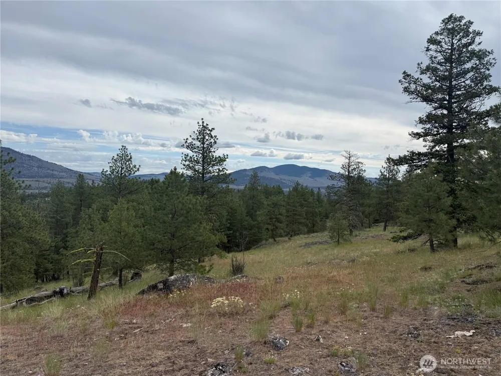 111 TBD Patterson Creek Tonasket, WA 98855
