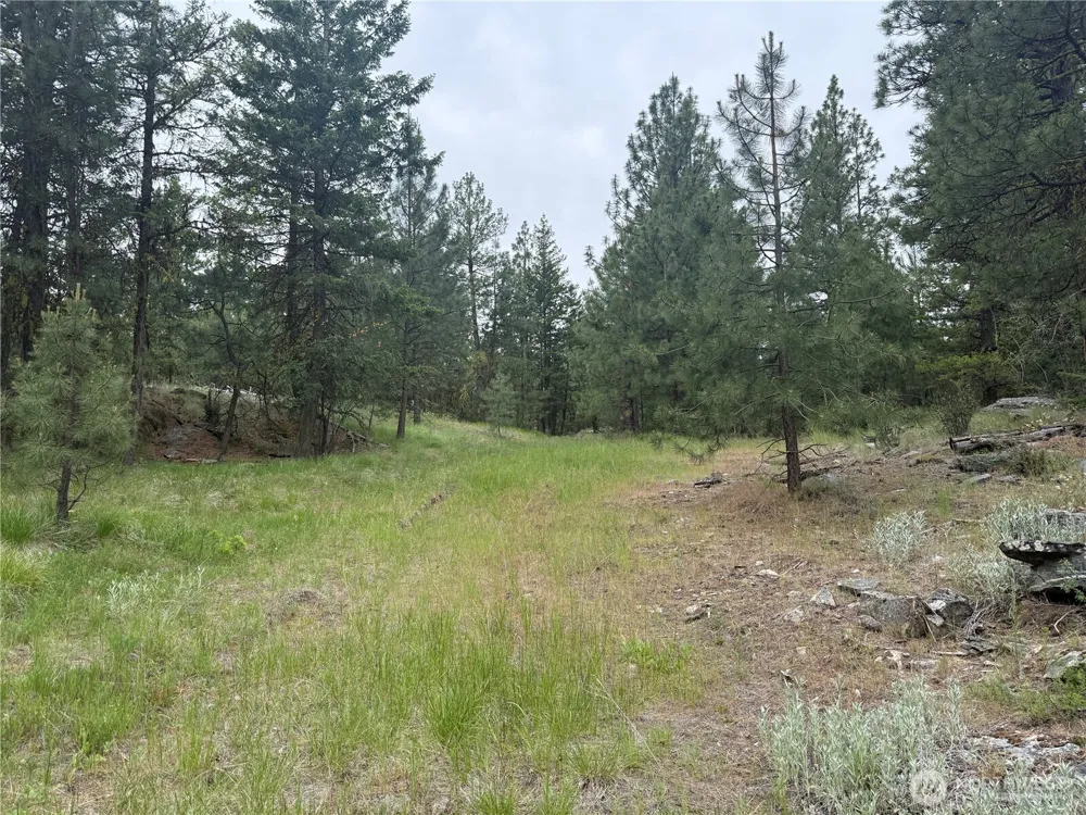 111 TBD Patterson Creek Tonasket, WA 98855