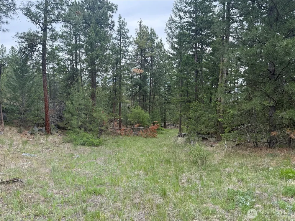 111 TBD Patterson Creek Tonasket, WA 98855