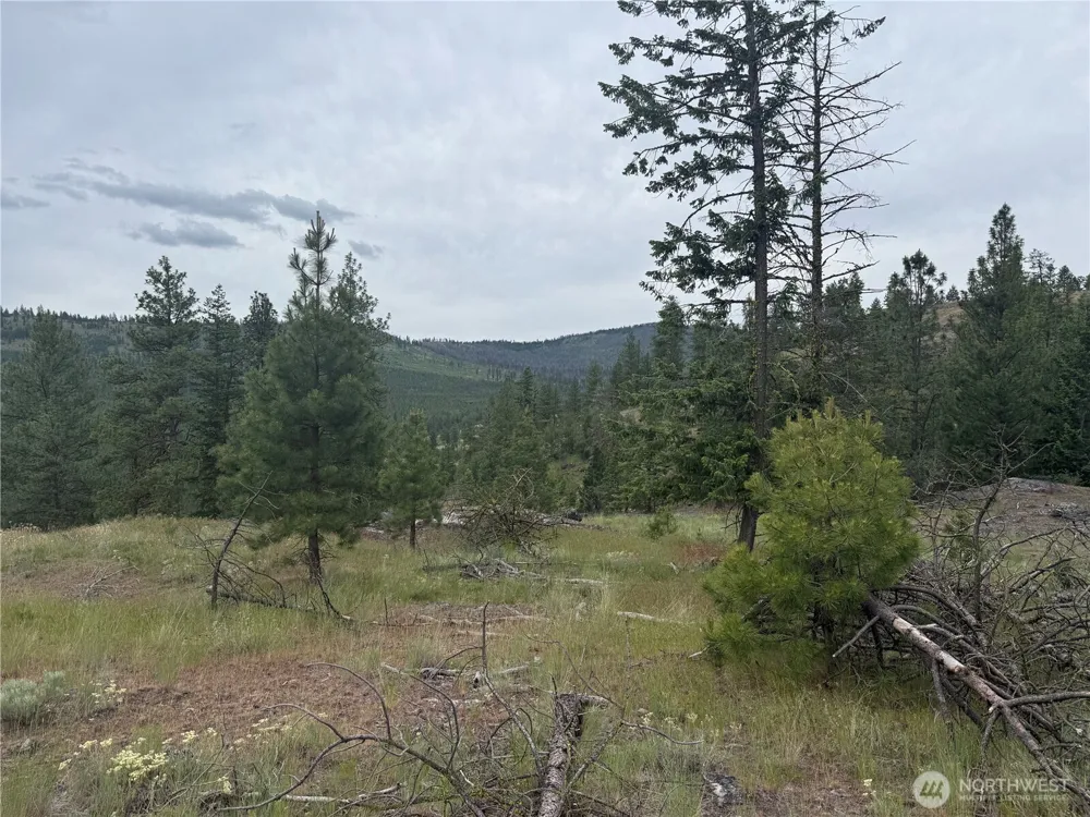 111 TBD Patterson Creek Tonasket, WA 98855