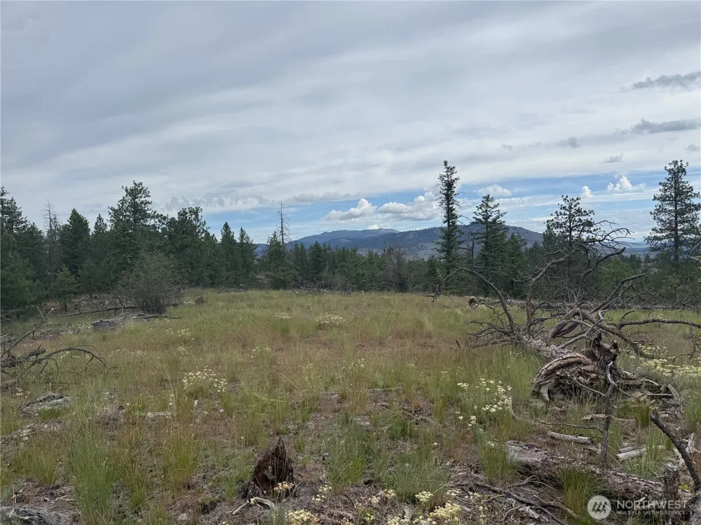 111 TBD Patterson Creek Tonasket, WA 98855